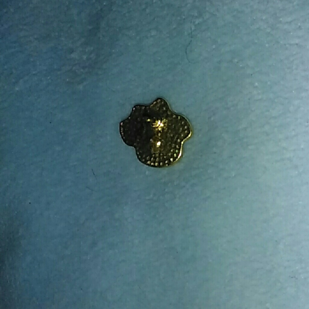 Clip - Picture 2 of 2